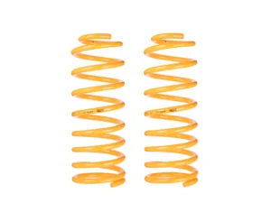 Nissan 300ZX (1988-1996) 300ZX Z32 King Coil Springs Rear Lowered (Pair)